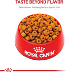 Royal Canin Labrador Retriever Adult Breed Specific Dry Dog Food, 17 lb. bag