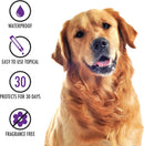 Advecta Flea Protection Ultra for Large Dogs 21-55lbs 4 Count