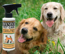 Banixx Pet Care Bacterial & Fungal Infections Spray 8 oz.