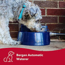 Bergan Pet Auto-Wata Blue Pet Water Dish, Automatic Refill