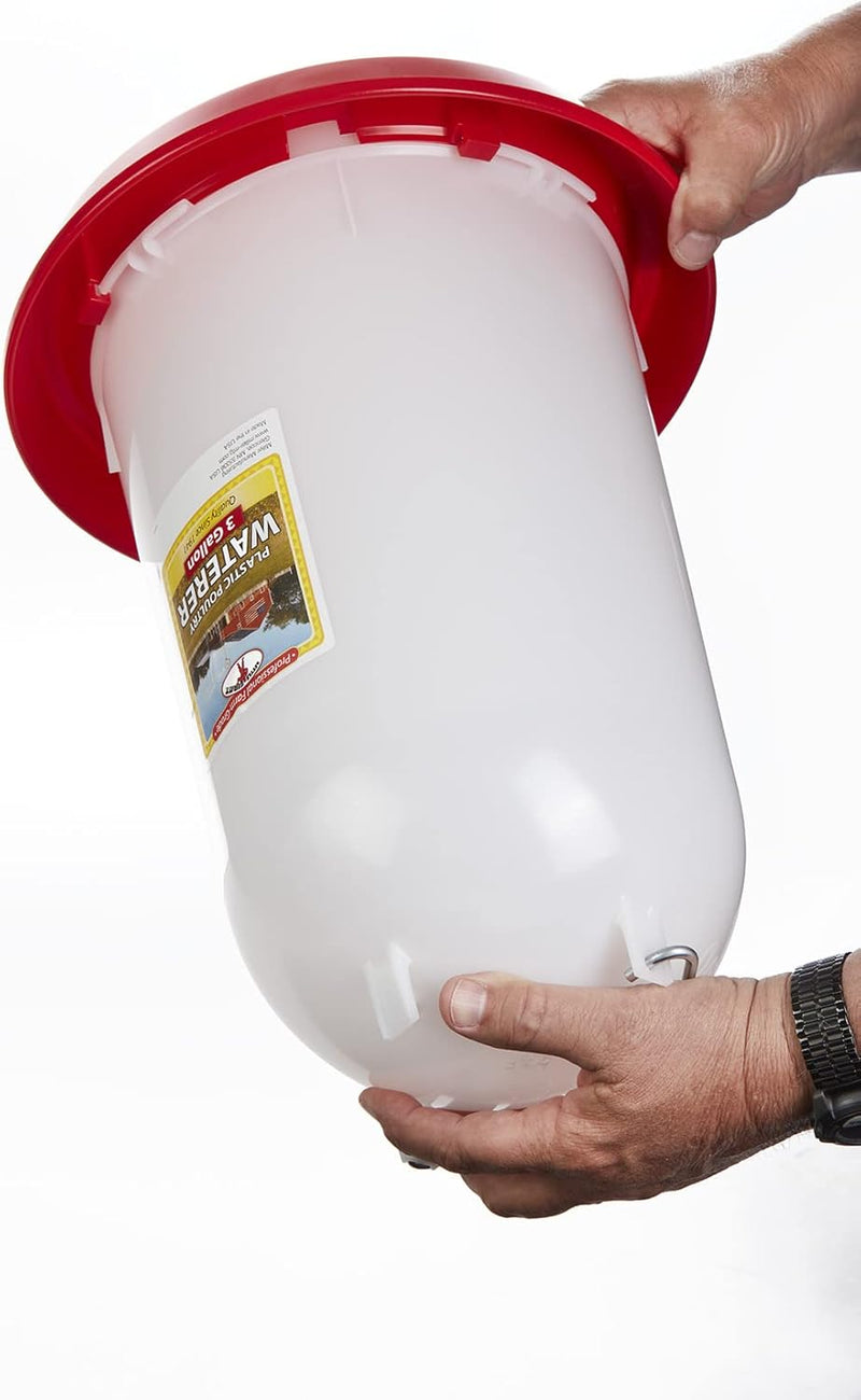 Little Giant Plastic Poultry Chicken Drinker 3 Gallon