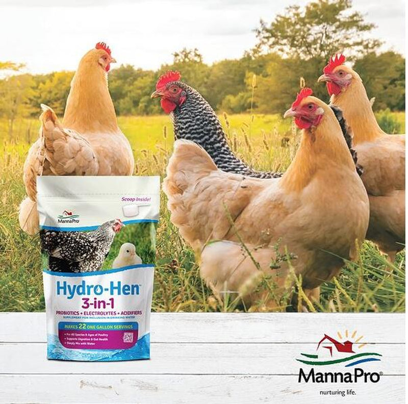 MannaPro Hydro-Hen Water Supplement 3-in-1 Probiotics 8 oz.