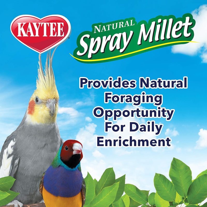 Kaytee Spray Millet for Birds 7 oz.