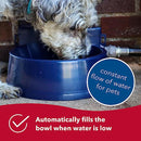 Bergan Pet Auto-Wata Blue Pet Water Dish, Automatic Refill
