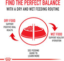 Royal Canin Adult Instinctive Thin Slices in Gravy Wet Cat Food 3 oz.