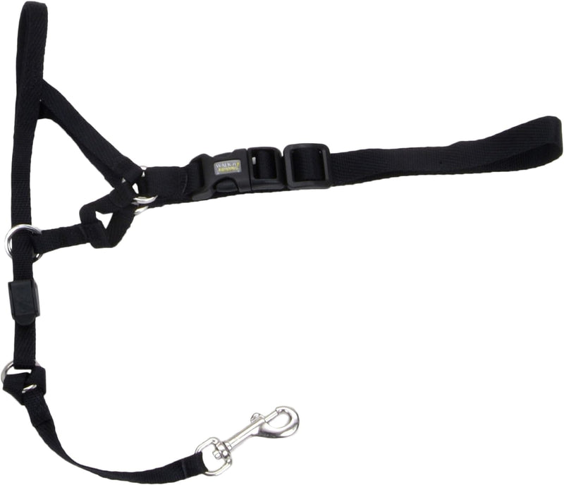 Coastal Pet Walk 'n Train Dog Head Halter Black, LG