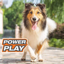 Nylabone Power Play Fetch-A-Bounce Interactive Dog Toy, 5-Inch Nylabone