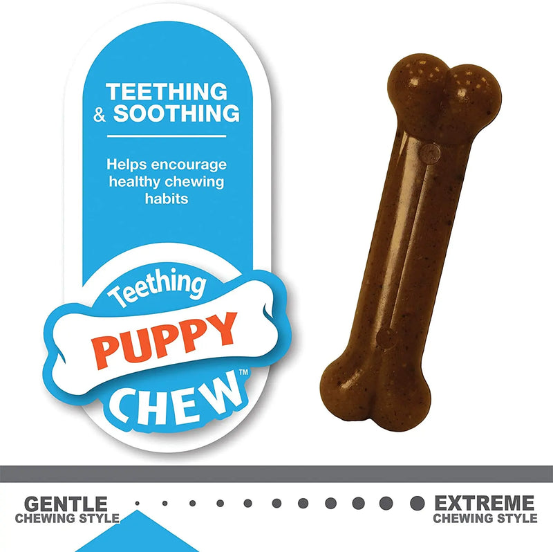 Nylabone Puppy Chew Textured Ring & Bone, X-Small/Petite 2-Pack Nylabone