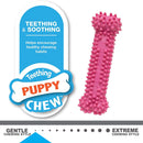 Nylabone Puppy Chew Toy & Treat Triple Pack SM/Regular, Pink Nylabone