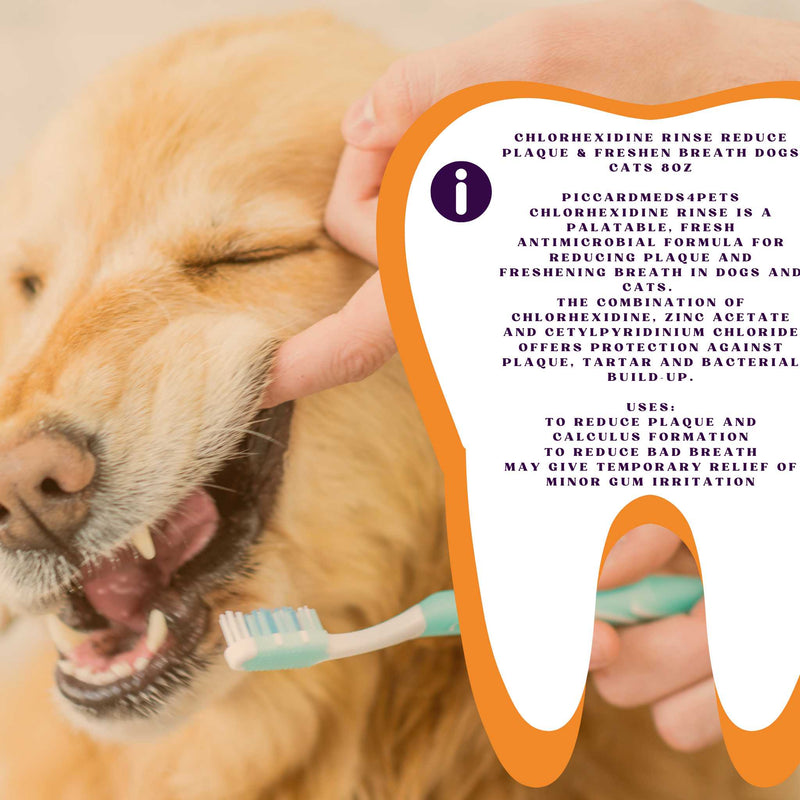 Piccardmeds4pets Chlorhexidine Dental Rinse for Dogs & Cats 8oz. Piccard Meds 4 Pets