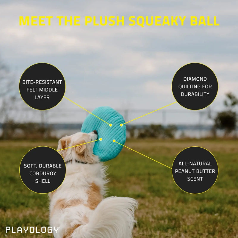Playology Plush Squeaky Ball Dog Toy for Moderate Chewers, Medium PLAYOLOGY