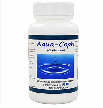 Fish Antibiotics Cephalexin 250mg 100CT Manufacturer can differ