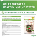 Vetoquinol Enisyl-F Lysine Pet Cat Treats Supports Immune System 6.35 oz. Vetoquinol