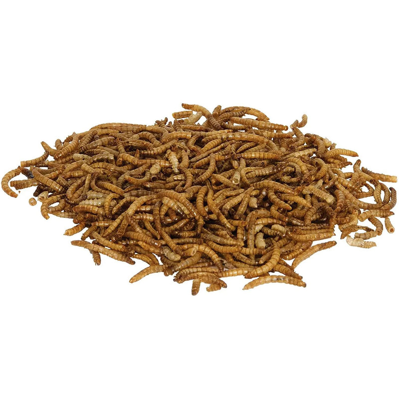 Zilla Reptile Food Munchies Mealworm, 3.75-Ounce Central Aquatics