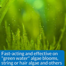 Api AlgaeFix Controls Many Types of Algae 8 oz. API