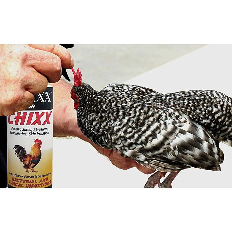 Banixx ChiXX Bacterial & Fungal Infections Spray for Chickens 8 oz. Banixx