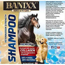 Banixx Horse Medicated Shampoo Anti-Fungal Anti-Bacterial 16 oz. for Animals Banixx