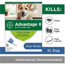 Bayer Advantage II Dogs Over 55 lbs. 6-Pack 6 Months Bayer