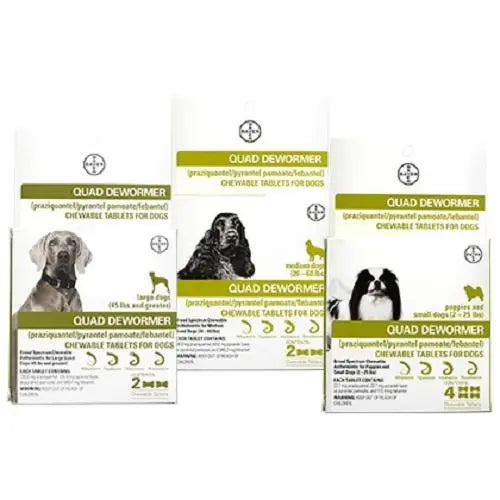 Bayer Quad Dewormer Chewable Tablets for S M L Dogs Bayer