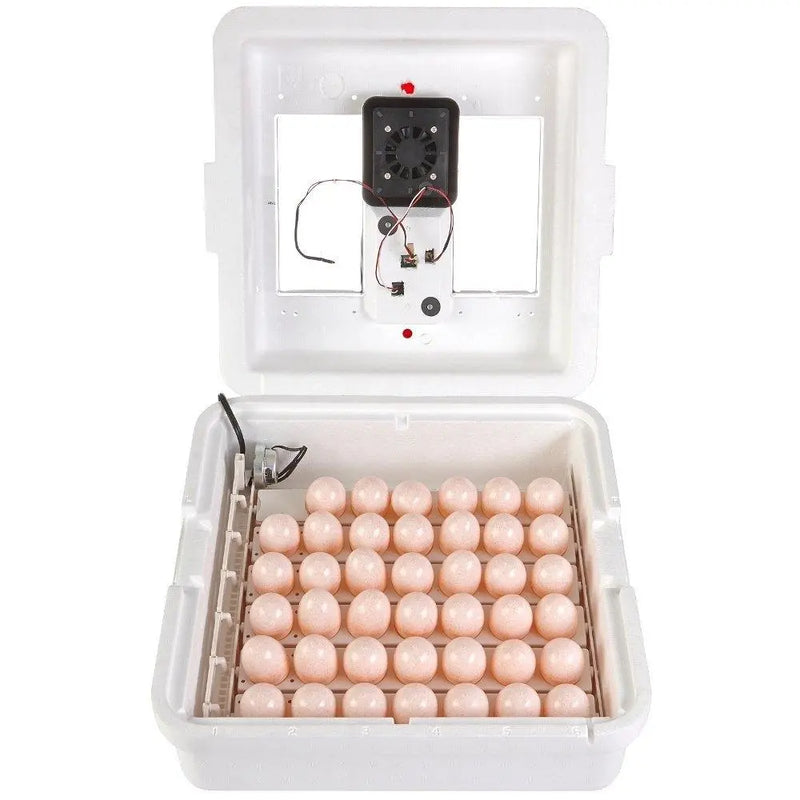 Deluxe Air Egg Incubator Little Giant 11300 with Egg Turner & Fan Kit Miller Products