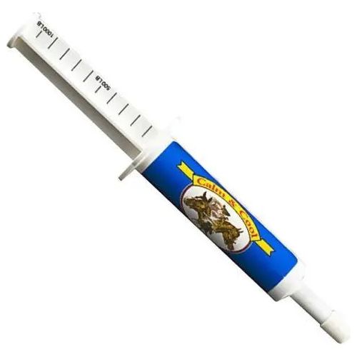 Divine Equine Oralx Paste Syringe for Horses 34g ORALX CORP