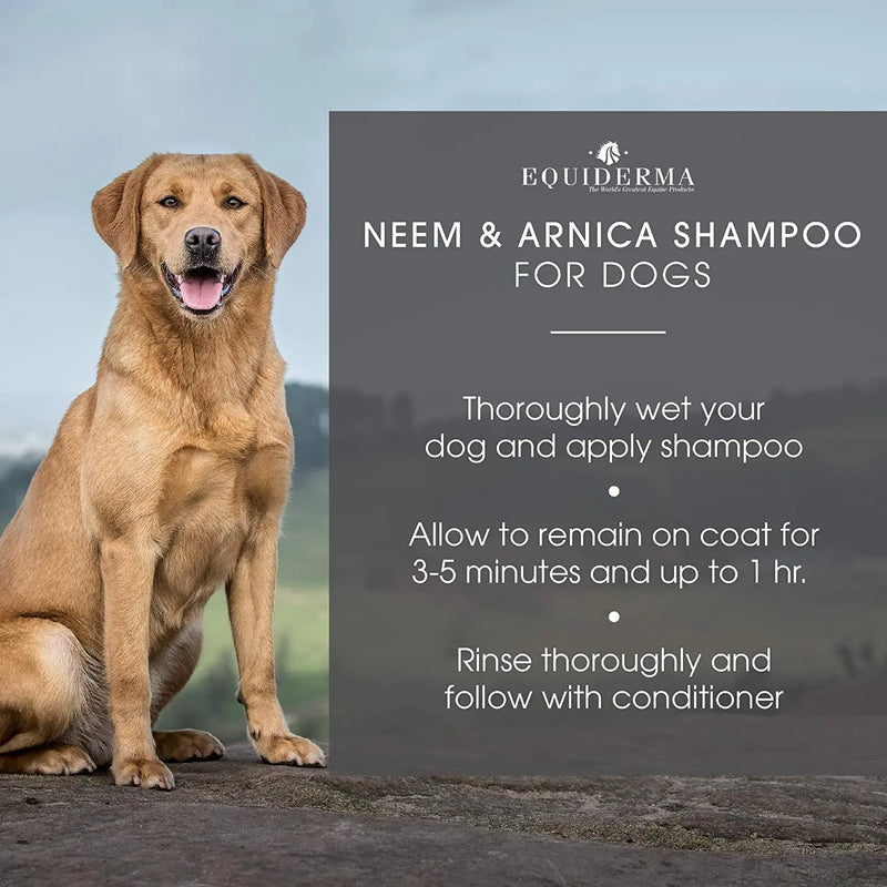 Equiderma Barn Dog Shampoo with Neem and Arnica 32 oz. Telesis