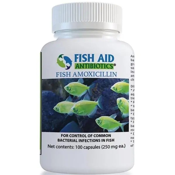 Fish Aid Antibiotics Amoxicillin Capsules 250mg Goldman