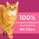 IAMS Proactive Health Adult Urinary Tract Health Dry Cat Food IAMS