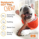 Nylabone Giant Bone Dog Chew Toy Bacon & Chicken Flavor Twin Pack Nylabone