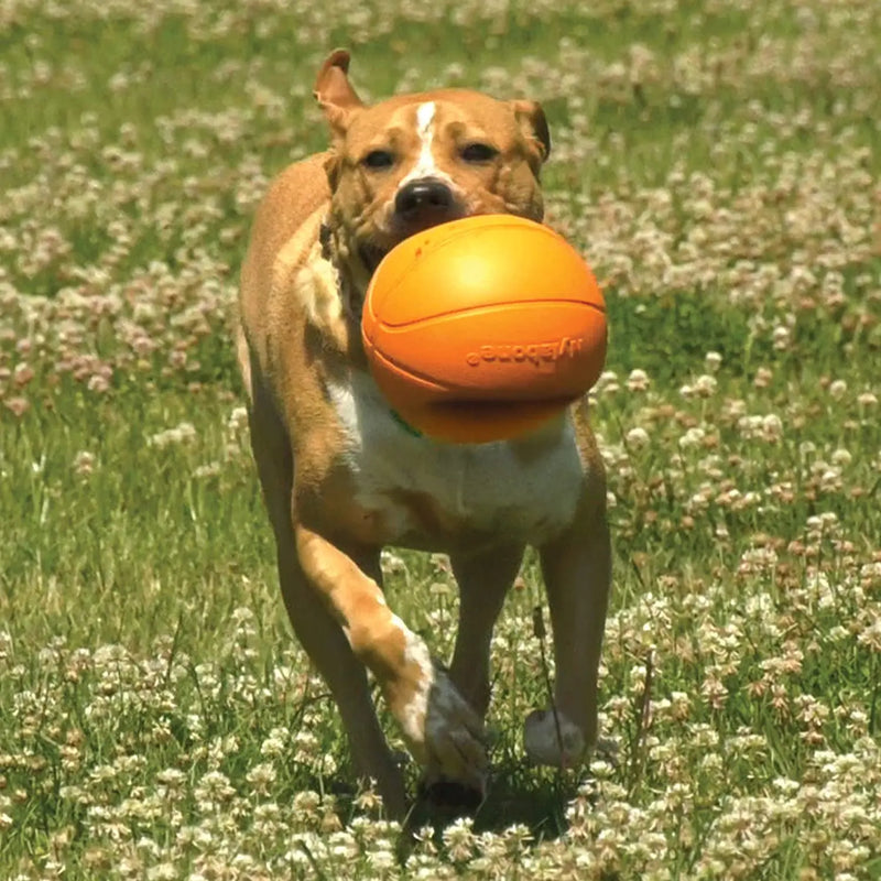 Nylabone Power Play Dog Basketball B-Ball Gripz Basketball Toy Nylabone