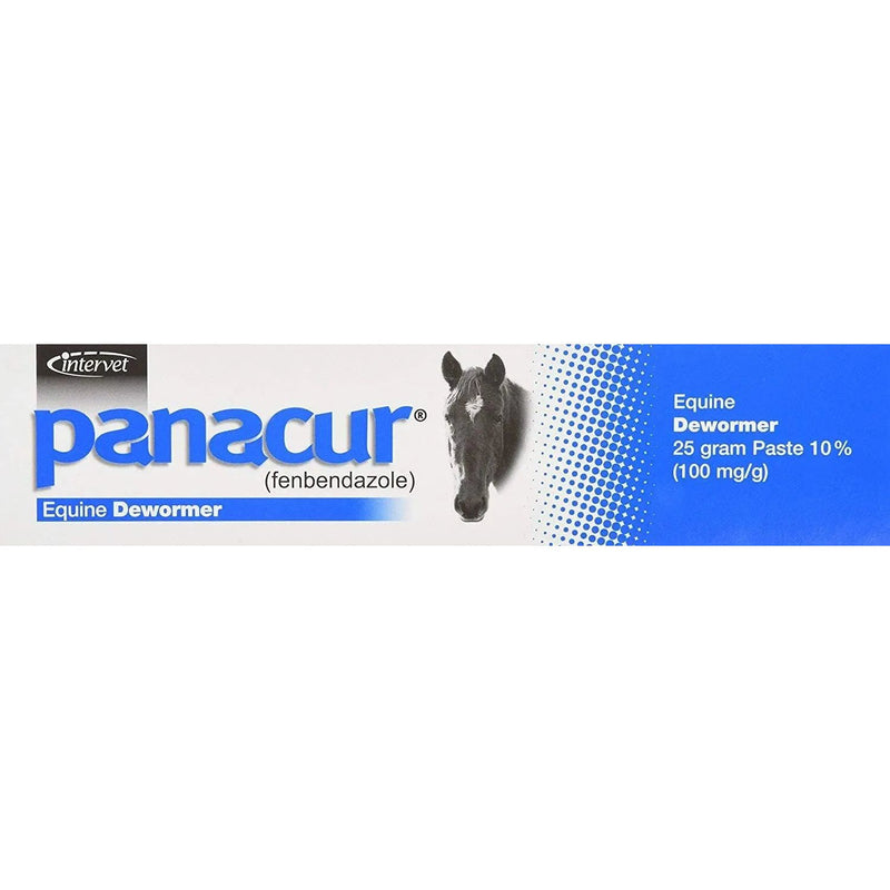 Panacur Equine Paste 10% Horse Wormer 100mg 2-Pack Panacur