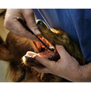 Petosan Complete Dental Kit for Large Dog 35+ lbs Petosan