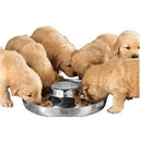 Puppy Stainless Steel Saucer 11" Primal
