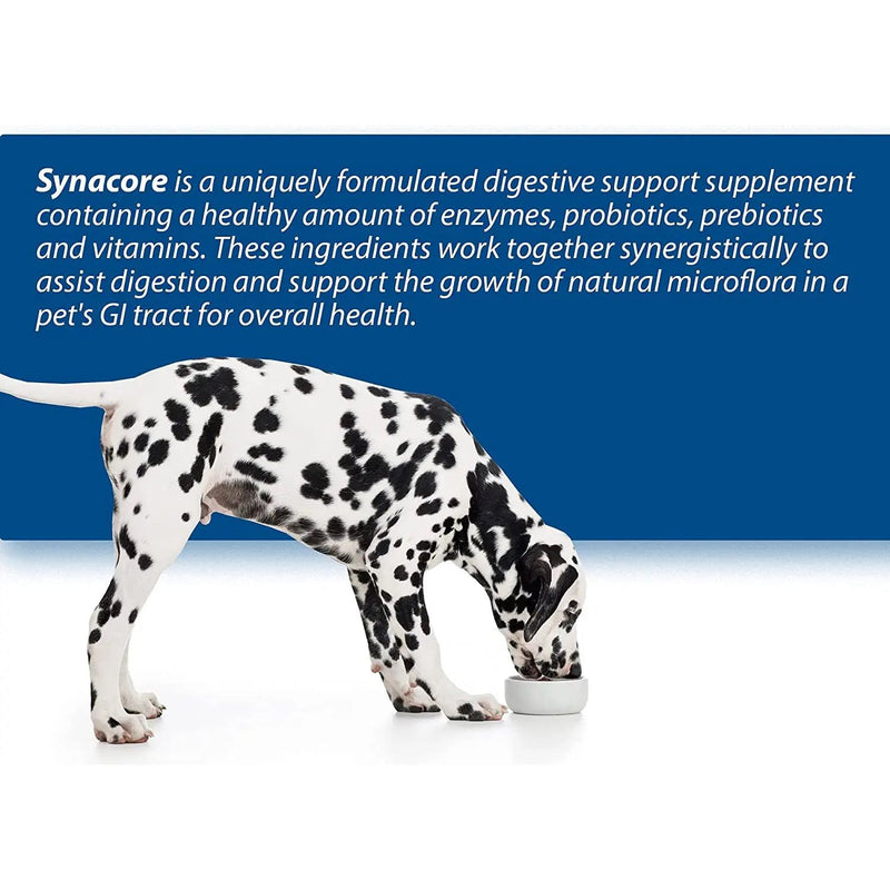 Synacore Digestive Support for Dogs 30 Stick Packets 2.5g Van Beek