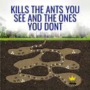 TERRO Liquid Ant Bait Ant Killer 6 Bait Stations Terro
