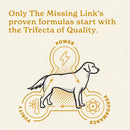 The Missing Link Skin and Coat Superfood Powder for Dogs 1lb. The Missing Link