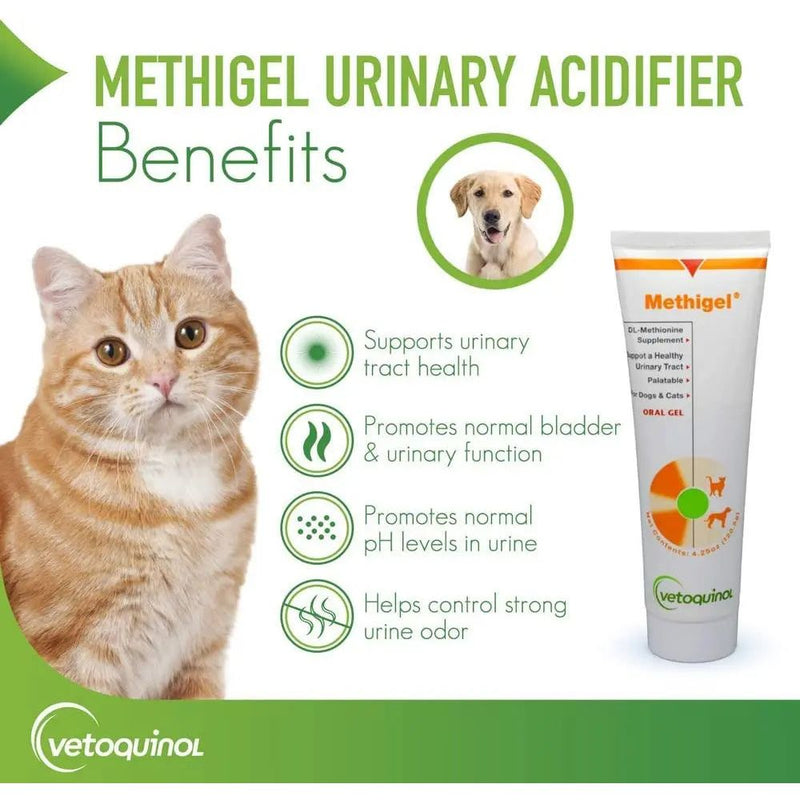 Vetoquinol Methigel Urinary Tract Acidifier Oral Gel for Dogs & Cats 4.25 oz. Vetoquinol