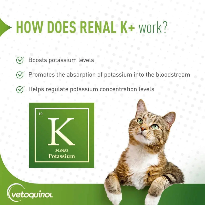 Vetoquinol Renal K + Potassium Gluconate & Vitamin B Oral Gel Cats & Dogs 5 oz. Vetoquinol