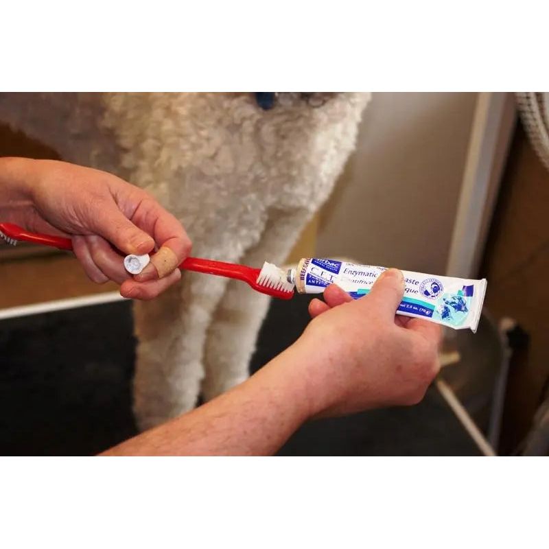 Virbac CET Enzymatic Dog & Cat Toothpaste Malt 70G Virbac