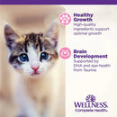Wellness Complete Health Pâté Kitten Chicken Entrée Canned Wet Cat Food, Single Can Wellness Natural Pet Food