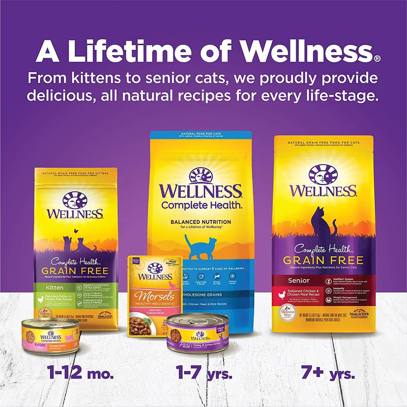 Wellness Complete Health Pâté Kitten Chicken Entrée Canned Wet Cat Food, Single Can Wellness Natural Pet Food