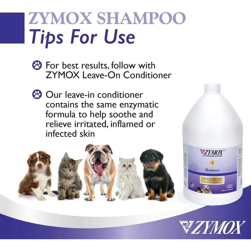 ZYMOX Anti-Itch Shampoo for Dogs and Cats 1 Gallon, Made in USA ZYMOX