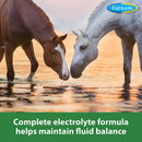 Farnam Apple Elite Electrolyte Powder For Horses 5lbs. Farnam