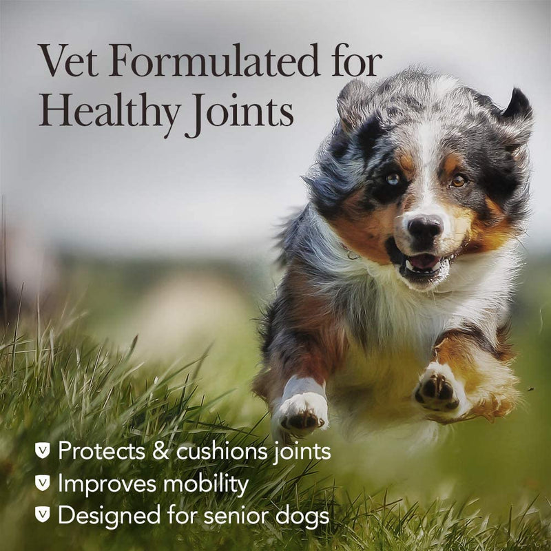 Nutri-Vet Hip & Joint Chewable Dog Supplements 90 Count Nutri-Vet