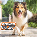 Nylabone Power Play Fling-A-Bounce Interactive Dog Toy, 10-Inch Nylabone