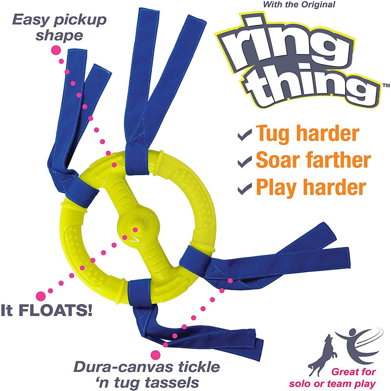 Nylabone Power Play Ring Thing Interactive Dog Toy, 7-Inches Nylabone