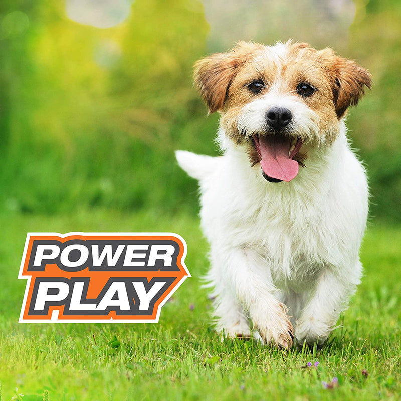 Nylabone Power Play Ring Thing Interactive Dog Toy, 7-Inches Nylabone