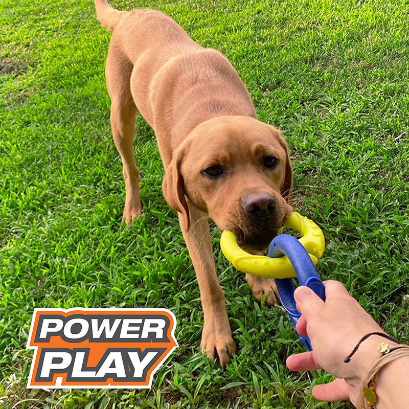 Nylabone Power Play Tug-A-Ball Interactive Dog Toy, Large Nylabone