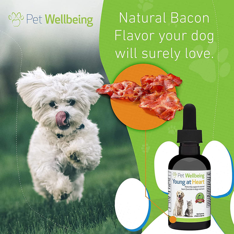Pet Wellbeing Young at Heart Health Supplement for Dogs 2 oz. Pet Wellbeing