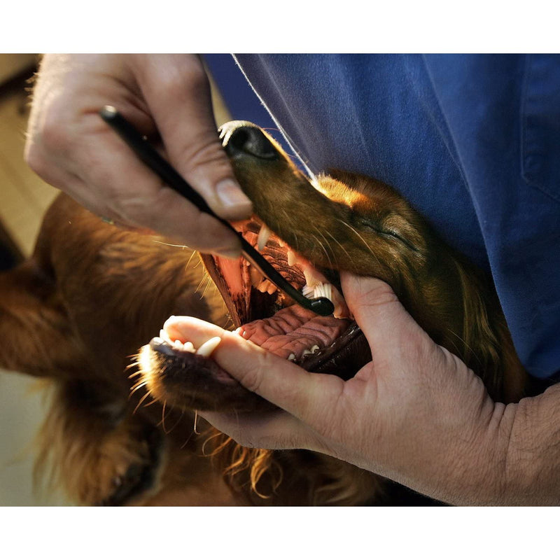 Petosan Complete Dental Kit for Small Dog Up to 14 lbs Petosan